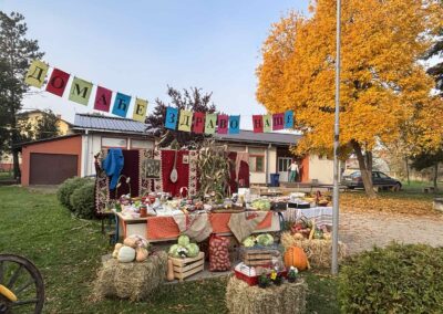 Петачки вашар укуса